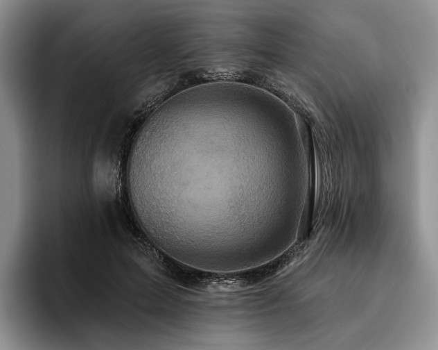 X0000096130599200801181114