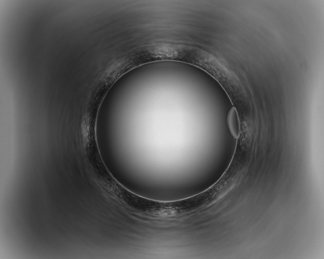 X0000096130600200801181114