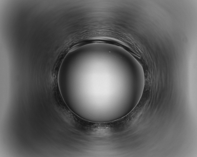 X0000096130601200801181114