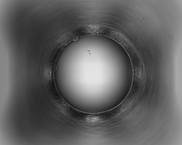 X0000096130602200801181114