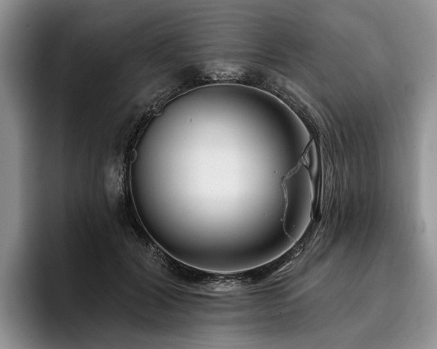 X0000096130604200801181114