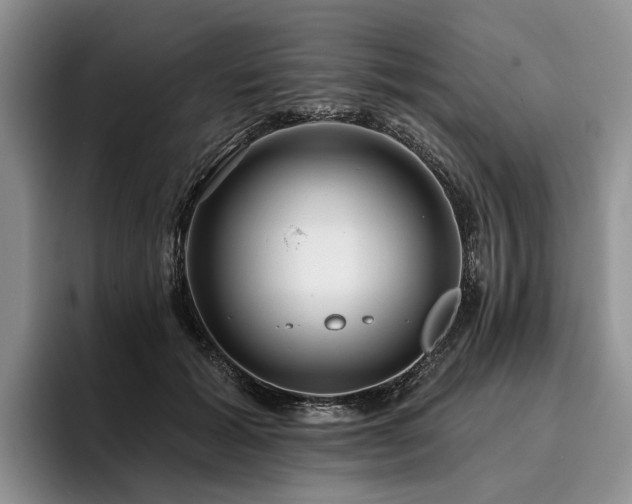 X0000096130605200801181114
