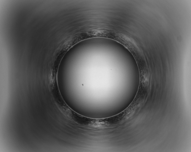 X0000096130607200801181114