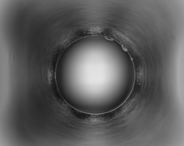 X0000096130608200801181114