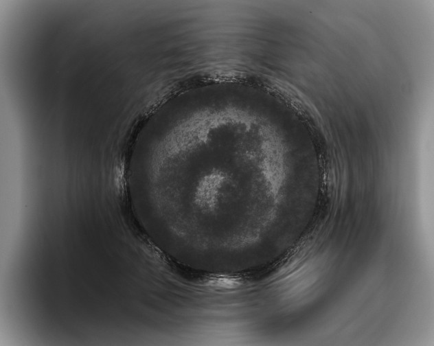 X0000096130610200801181114