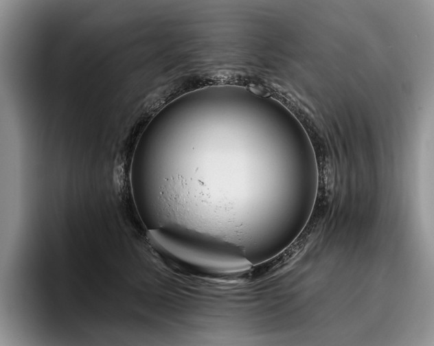 X0000096130611200801181114