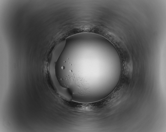 X0000096130612200801181114