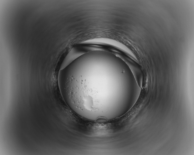 X0000096130613200801181114