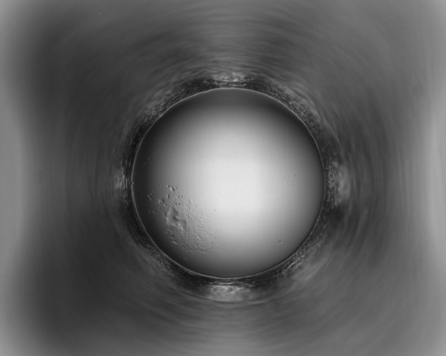 X0000096130614200801181114