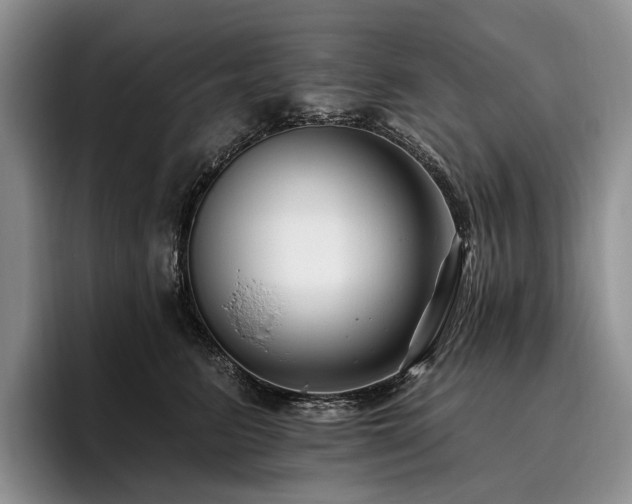 X0000096130615200801181114