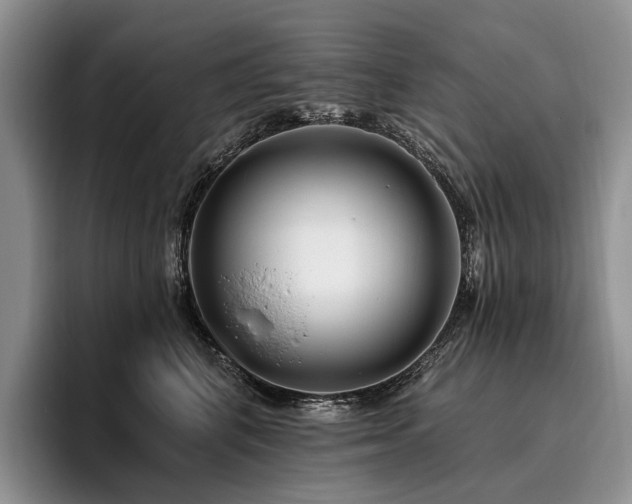 X0000096130616200801181114