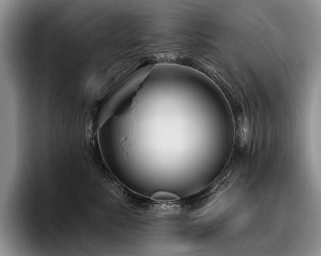X0000096130619200801181114