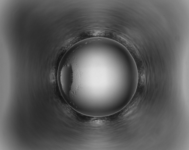 X0000096130620200801181114