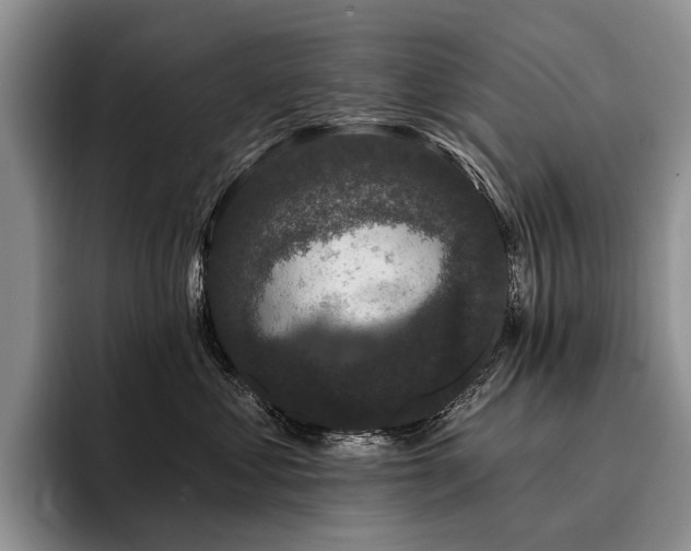 X0000096130621200801181114