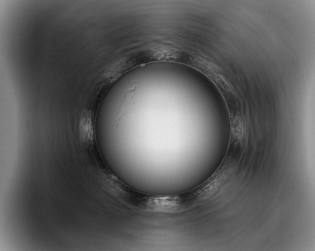 X0000096130622200801181114