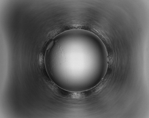 X0000096130623200801181114