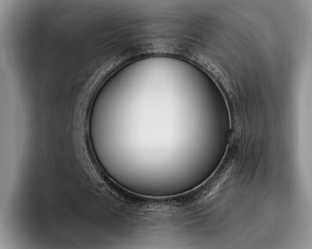 X0000096130625200801181113