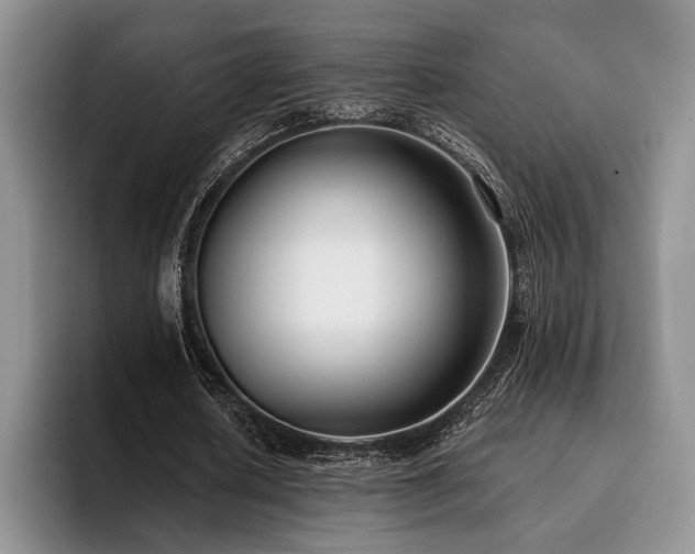 X0000096130626200801181113