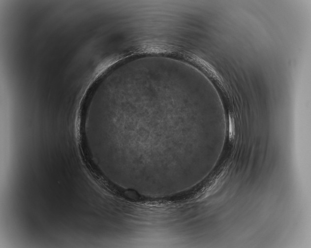 X0000096130627200801181113