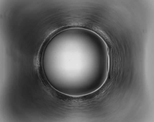X0000096130628200801181113