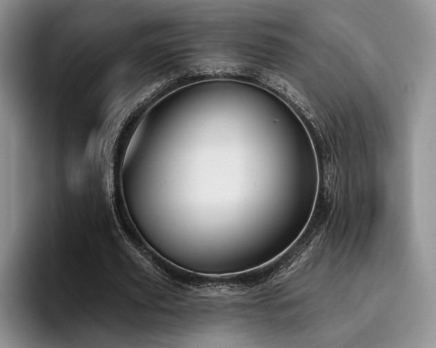 X0000096130629200801181113