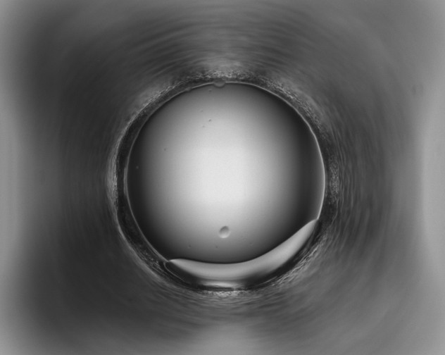X0000096130630200801181113