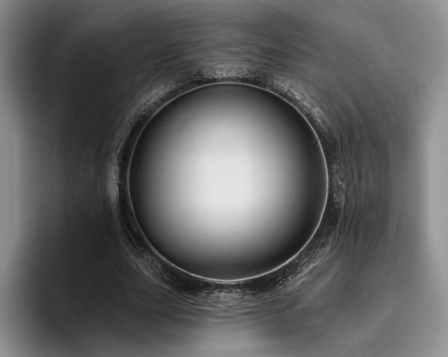 X0000096130631200801181113