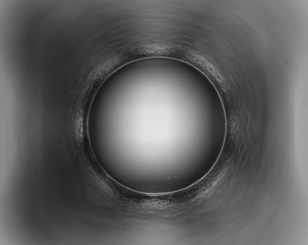 X0000096130633200801181113