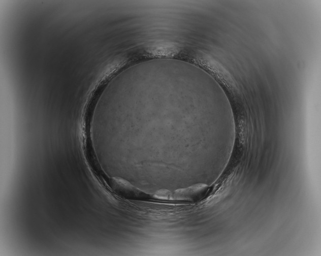 X0000096130634200801181113