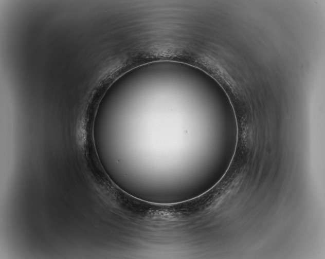 X0000096130635200801181113