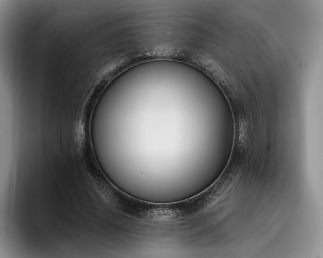 X0000096130636200801181113