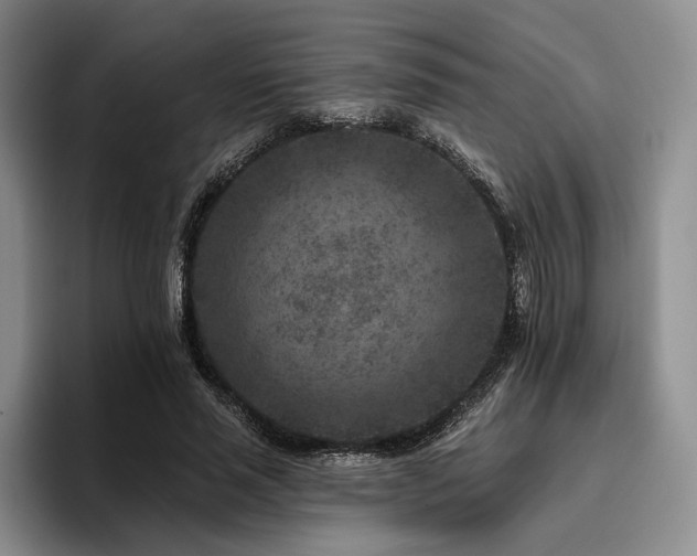 X0000096130637200801181113