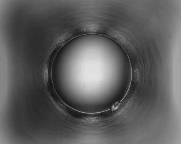 X0000096130638200801181113