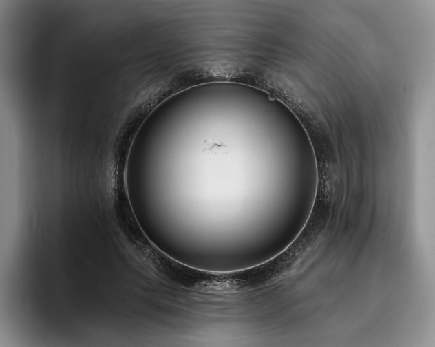 X0000096130639200801181113