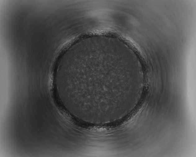 X0000096130640200801181113