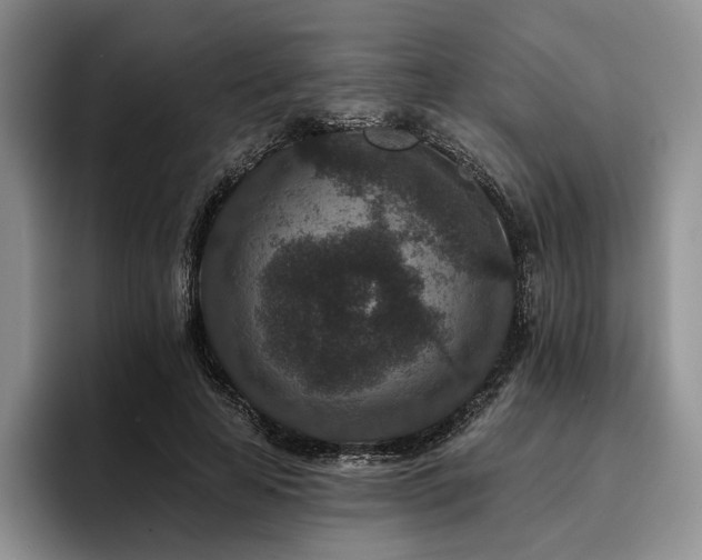 X0000096130641200801181113
