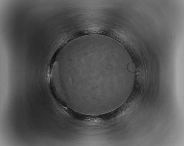 X0000096130642200801181113