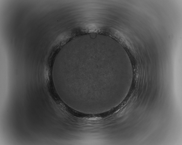 X0000096130643200801181113
