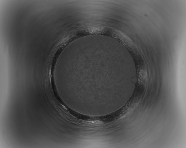 X0000096130644200801181113