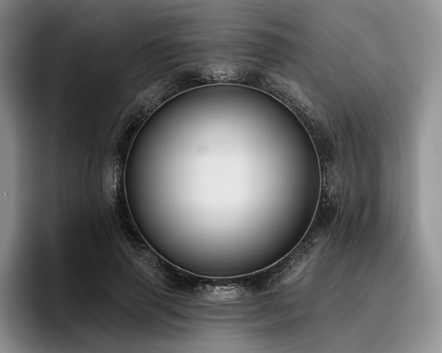 X0000096130645200801181113