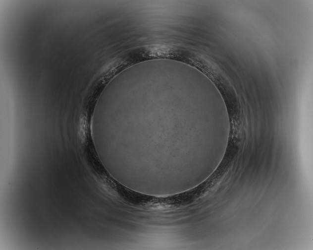 X0000096130648200801181113