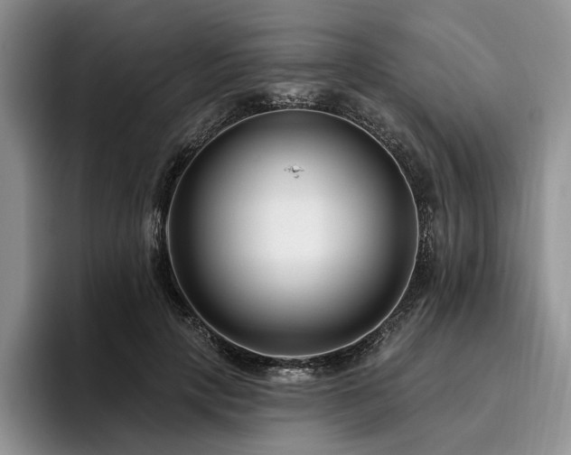 X0000096130649200801181113