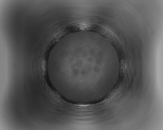 X0000096130650200801181113