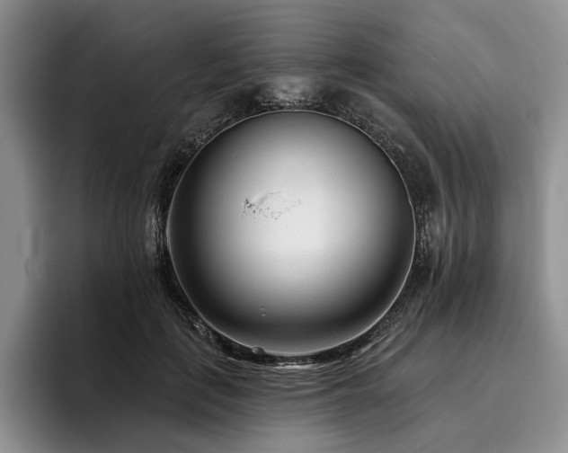 X0000096130651200801181113