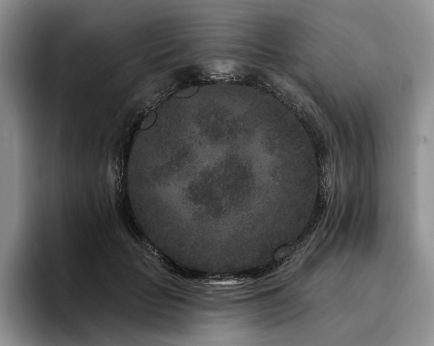 X0000096130653200801181113