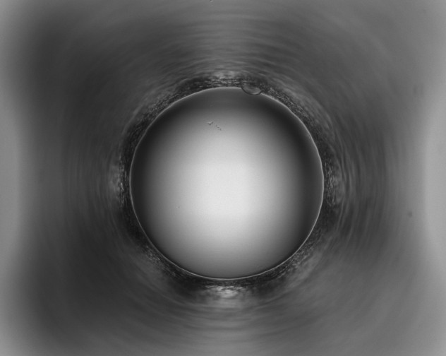 X0000096130654200801181113