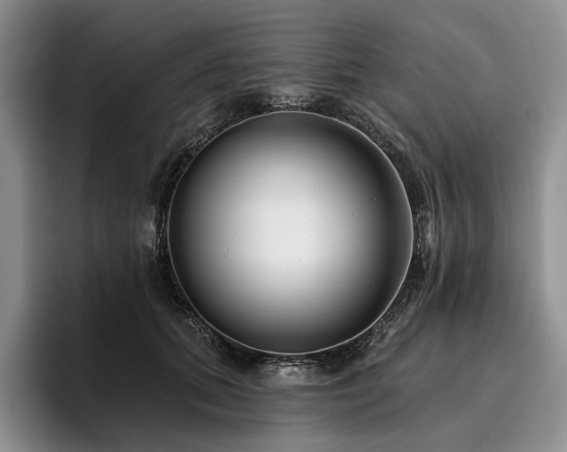 X0000096130655200801181113