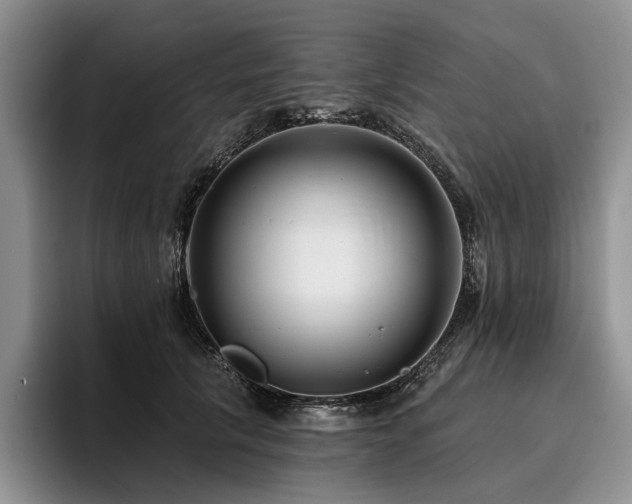 X0000096130657200801181114