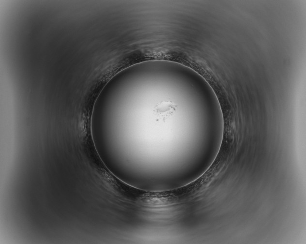 X0000096130658200801181114