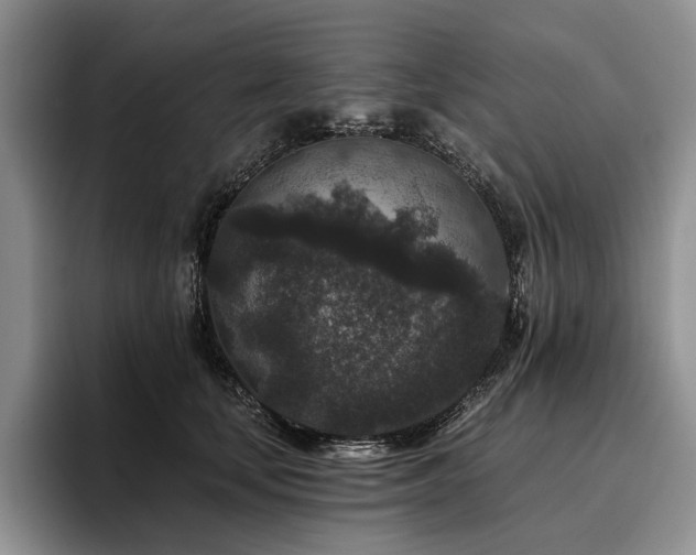 X0000096130659200801181114